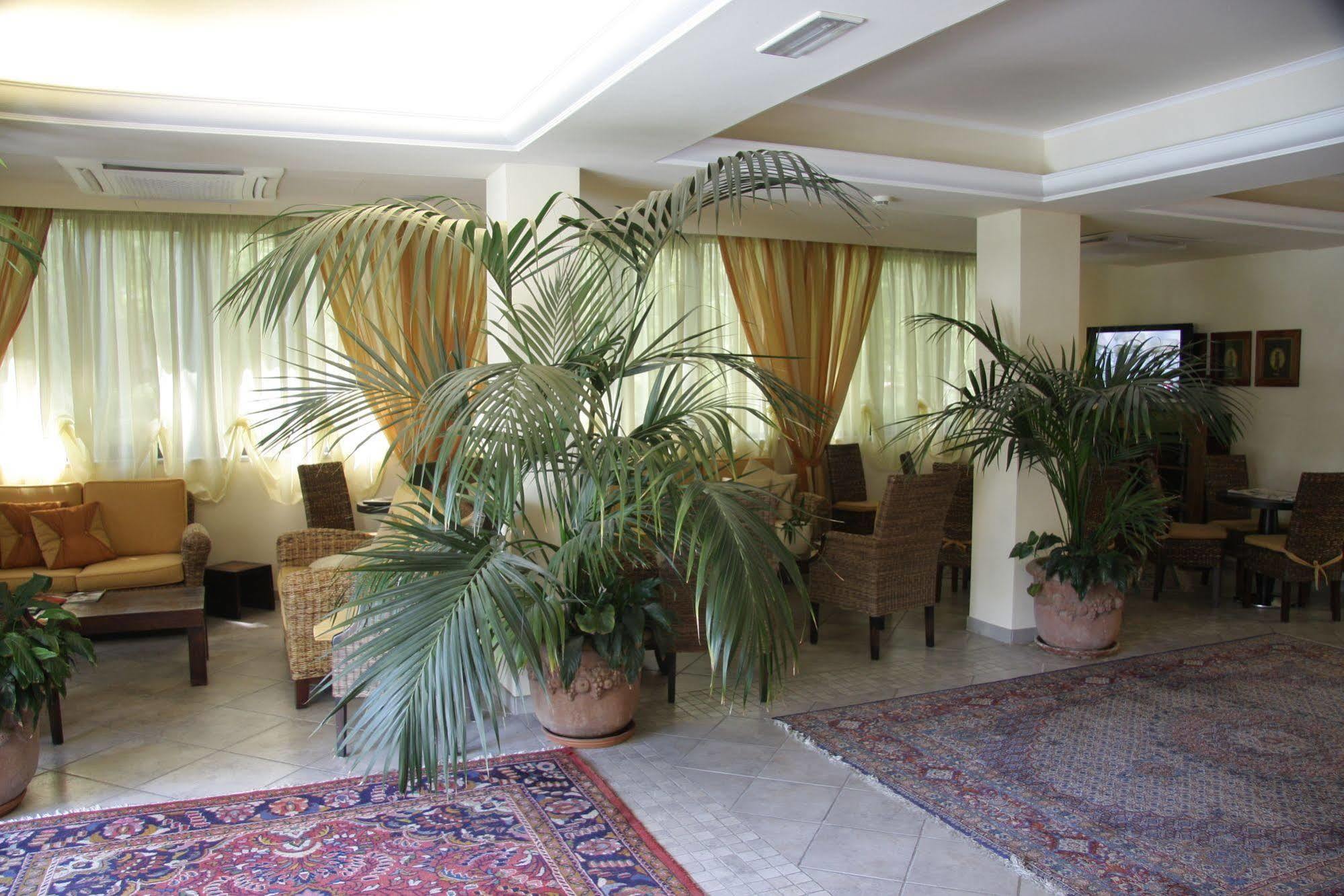 Hotel Nedy Марина-ди-Масса Экстерьер фото